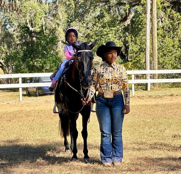 Perfect riding lesson day in Spring Hill Florida!