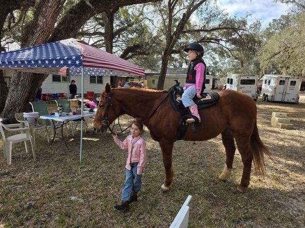 Perfect riding day at Spring Hill FL equestrian event!