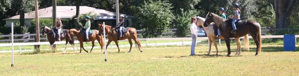 Spring Hill horseback riding lesson in action!