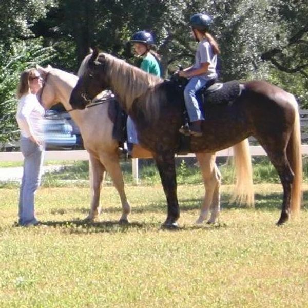 Spring Hill horseback riding lesson in progress!