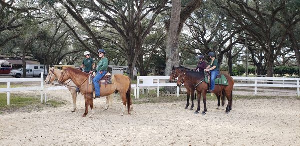 Perfect riding day at Spring Hill FL equestrian grounds!
