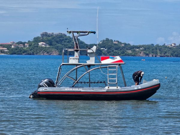 Educational scuba diving programs that turn every dive into a learning adventure.