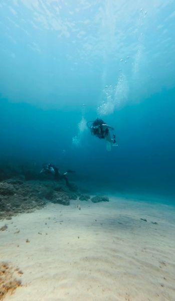 Educational scuba diving programs let guests understand the science behind marine life and reef structure