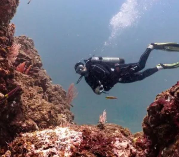 Instructor-led scuba trips that combine hands-on guidance with fun exploration.