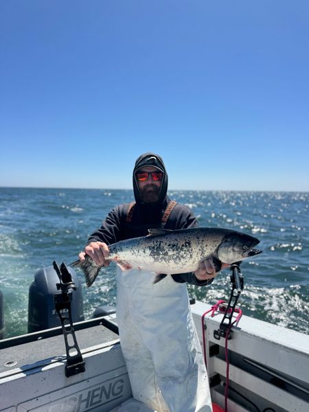 Catch Salmon in Winchester Bay Oregon