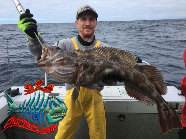 SOA Charters-galleryimage-8