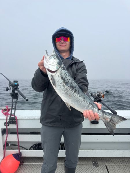 Winchester Bay Ocean Fishing Charter