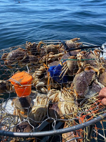 SOA Charters-galleryimage-7