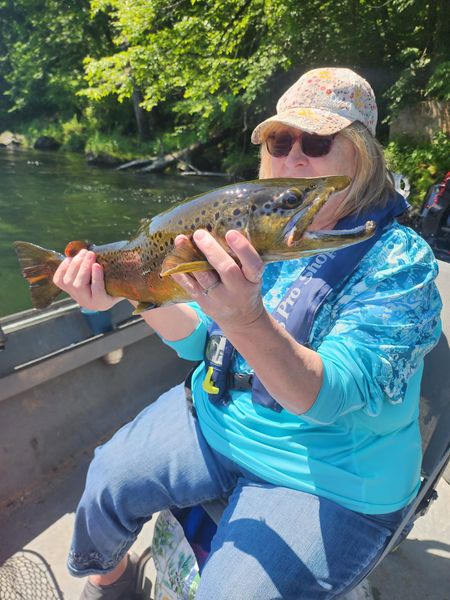 Beautiful Atlantic salmon from Eureka Springs Arkansas waters!