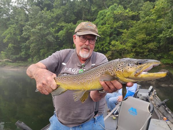 Beautiful brown trout from Eureka Springs Arkansas waters!