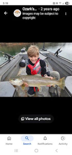 Ozark’s Full Stringers LLC-galleryimage-4