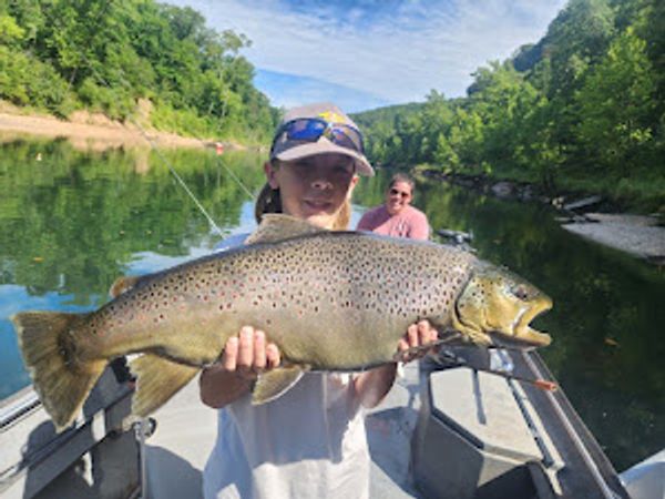 Ozark’s Full Stringers LLC-galleryimage-5
