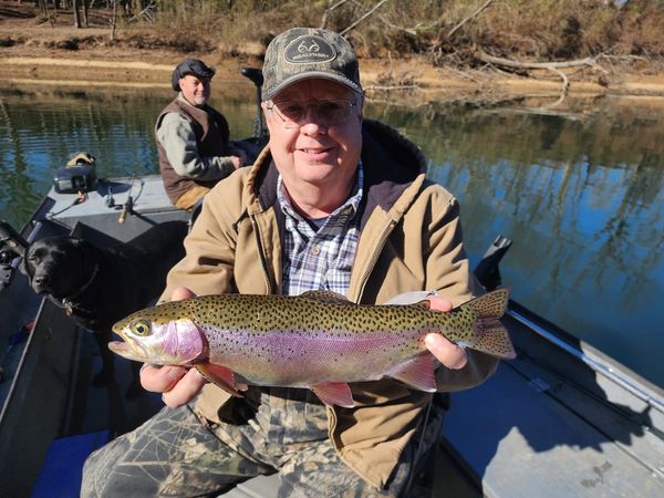 Beautiful rainbow trout from Eureka Springs Arkansas!