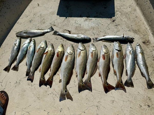 Professional Captains leading premium Baffin Bay trout and redfish fishing trips.
