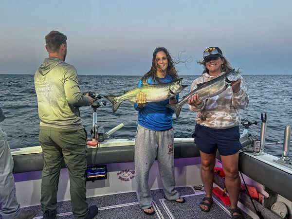 In The Box Fishing Charters