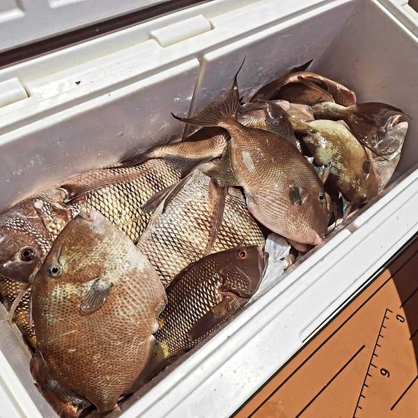 Outcast Fishing Charters OBX LLC