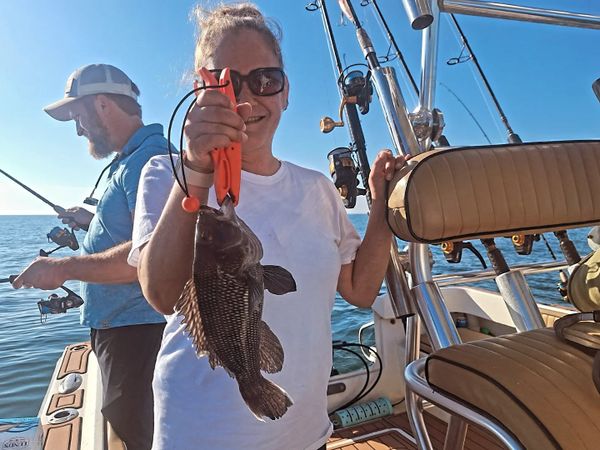 Outcast Fishing Charters OBX LLC