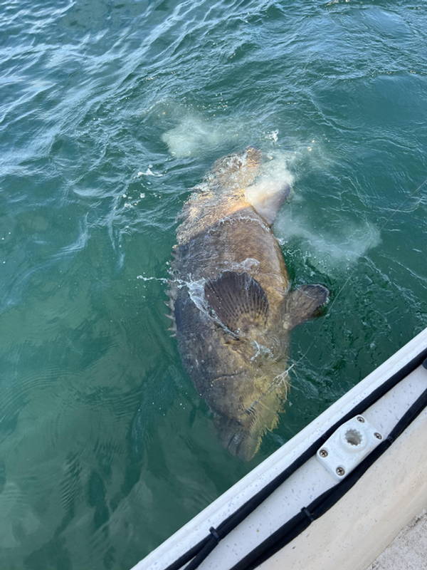 Saltwater Spoiled Fishing