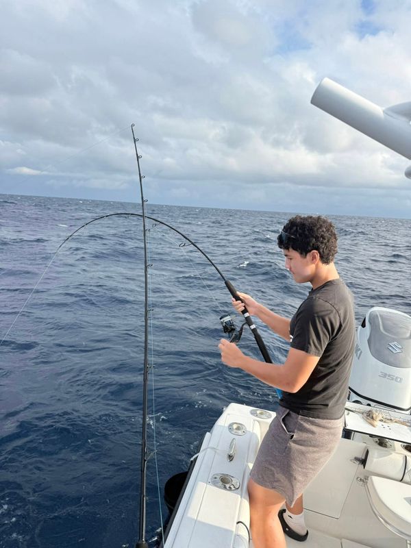 Grocery Cart Fishing Charters