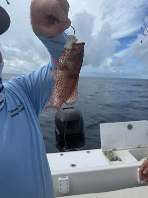 Grocery Cart Fishing Charters