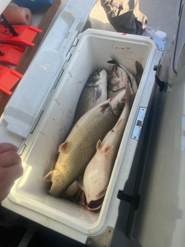 Too Ez Sportfishing