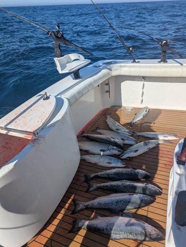 Mark LaDuke Guide Service