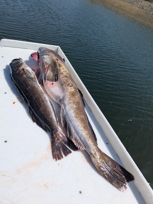 Mark LaDuke Guide Service