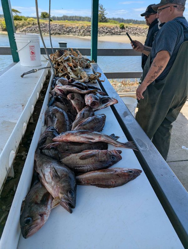 Mark LaDuke Guide Service