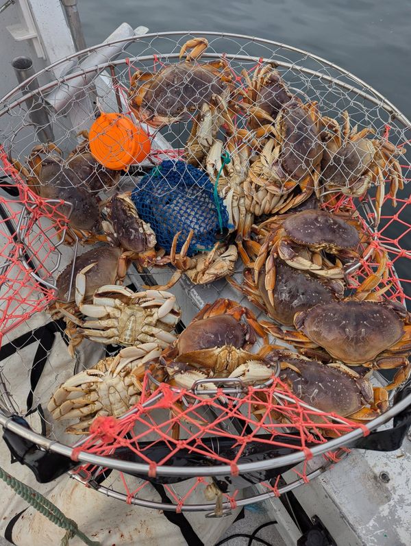 Mark LaDuke Guide Service