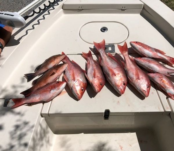 South Walton Guide Service