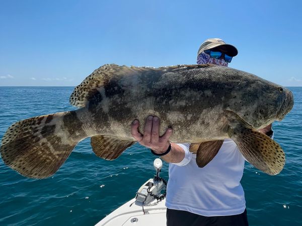 Down South Charters
