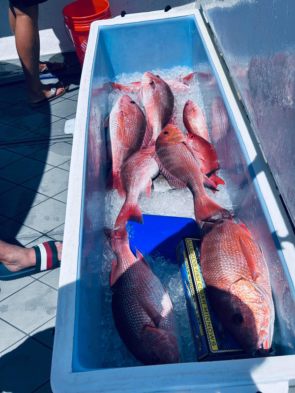 Black Diamond Fishing Charters