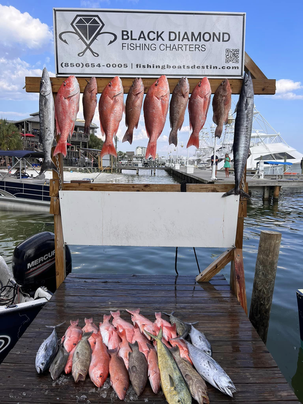 Black Diamond Fishing Charters