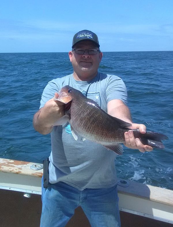 Ultra Fishing Charters