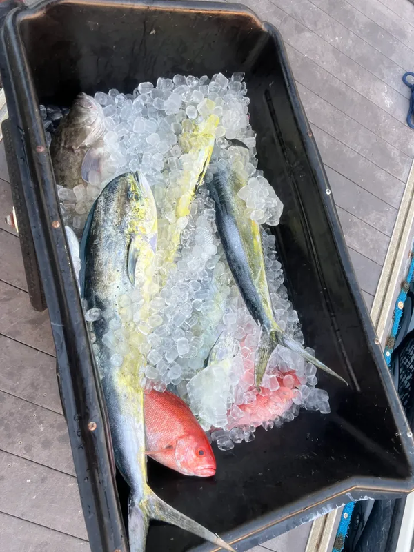 Fish Junkies Fishing Charters