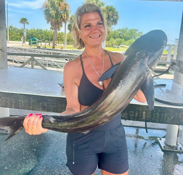 Bottoms Up Fishing Charters