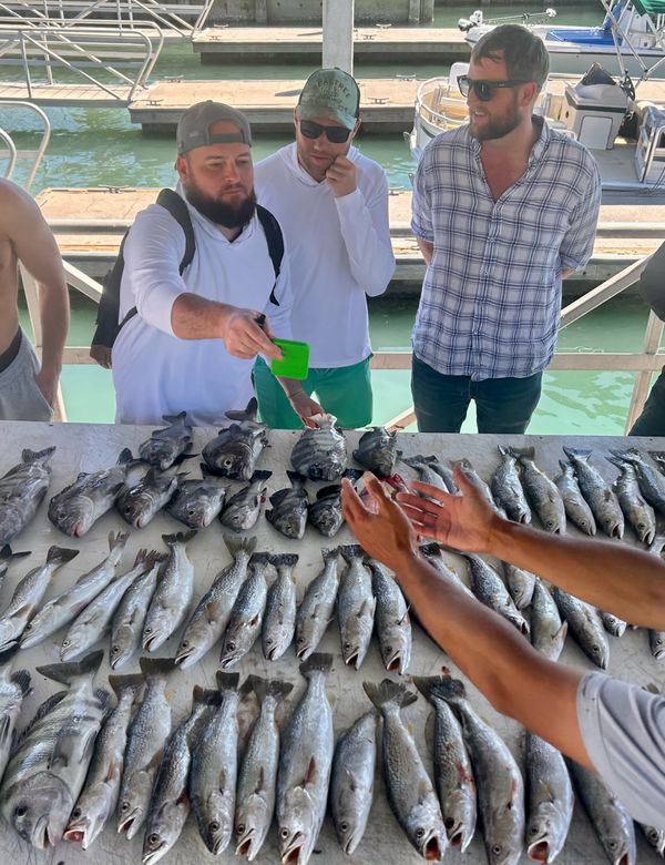 Bottoms Up Fishing Charters