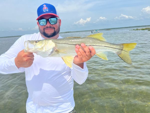 Reel Shallow Fishn Charters