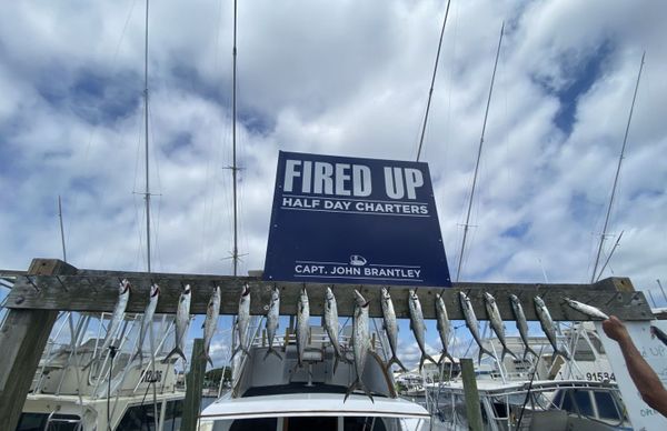 Fired Up Fishing Charters