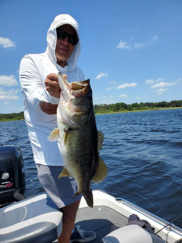AJ's Bass Guides