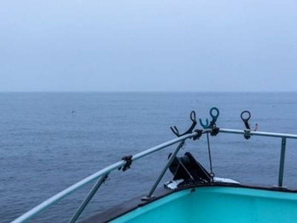 Bodega Bay Charters