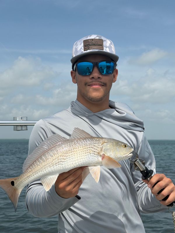 STX Bay Adventures