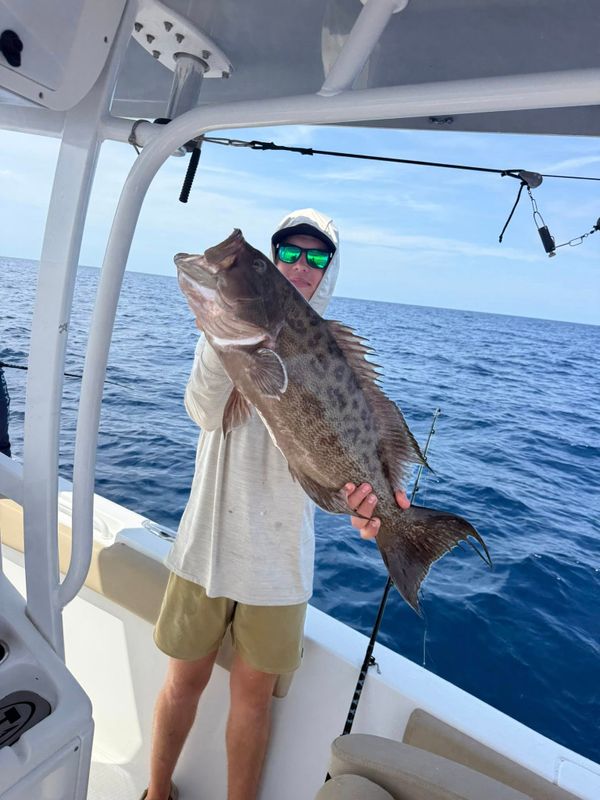 Nauti-Cartel Charters LLC