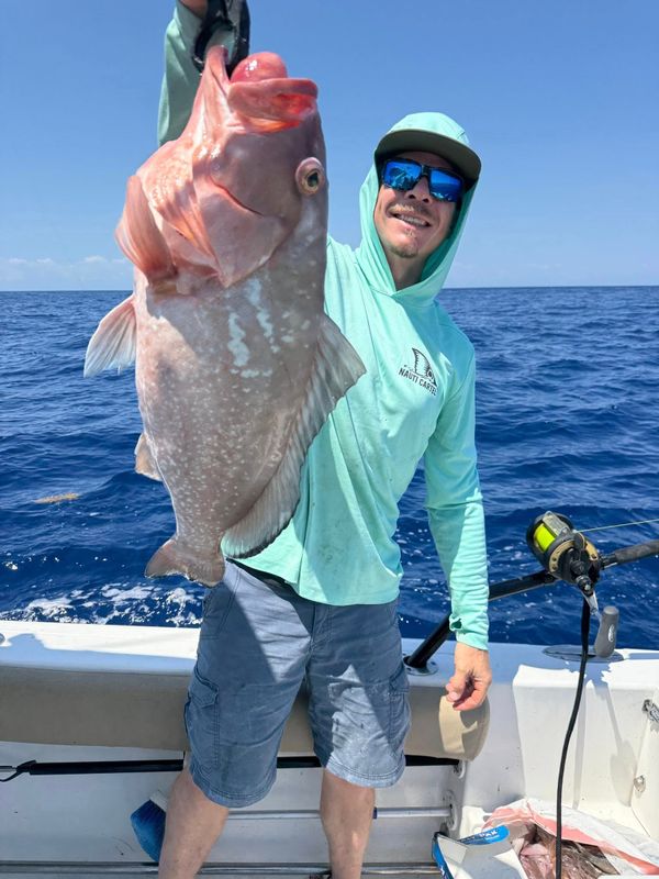 Nauti-Cartel Charters LLC