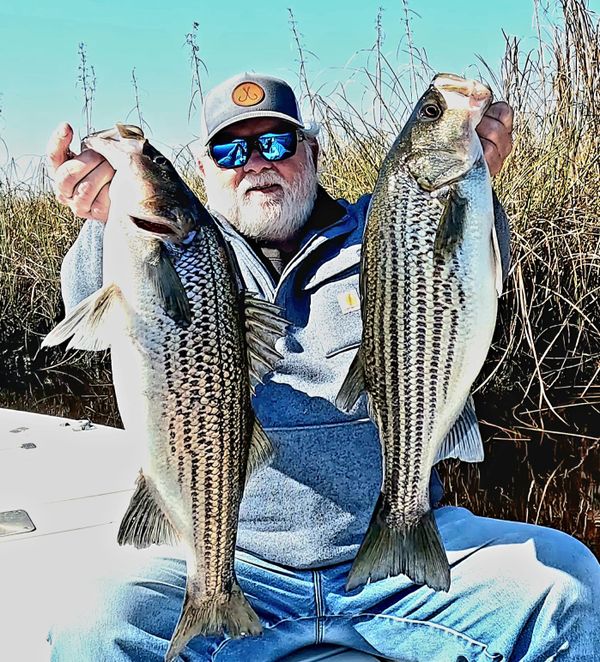 Blue Cyclone Inland Charters