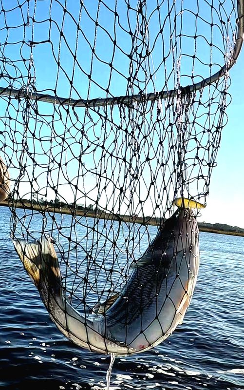 Blue Cyclone Inland Charters