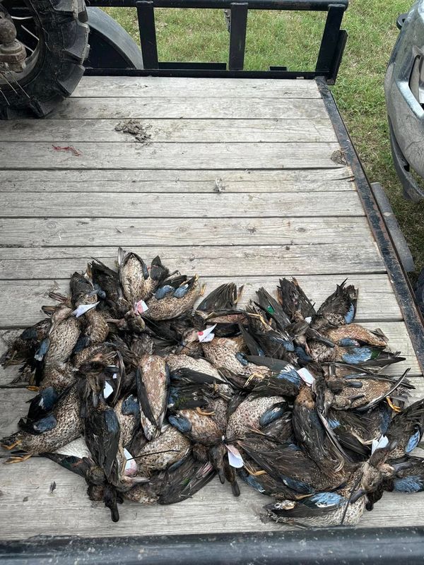 Fowl Hooked Outfitters