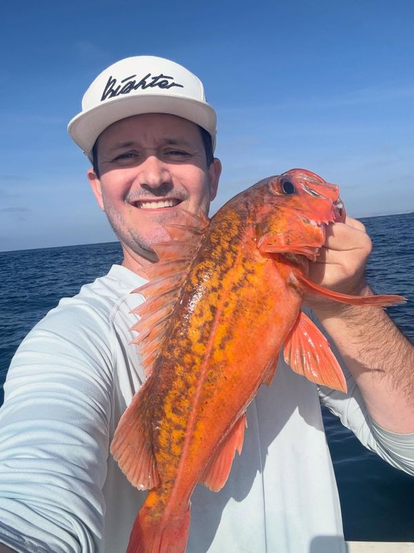 Catch Sportfishing