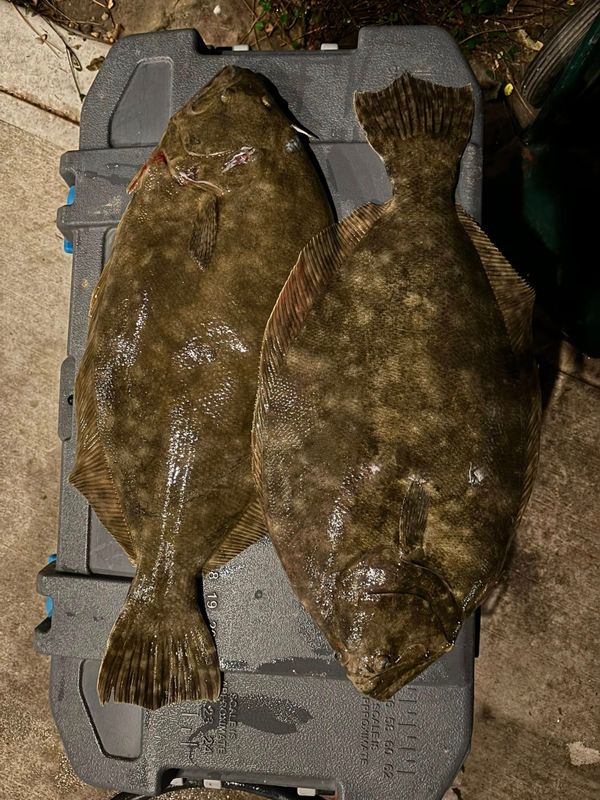 Galveston Flounder Company
