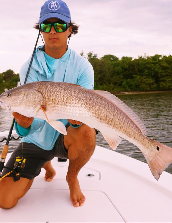 Fan Sea Luxury Charters